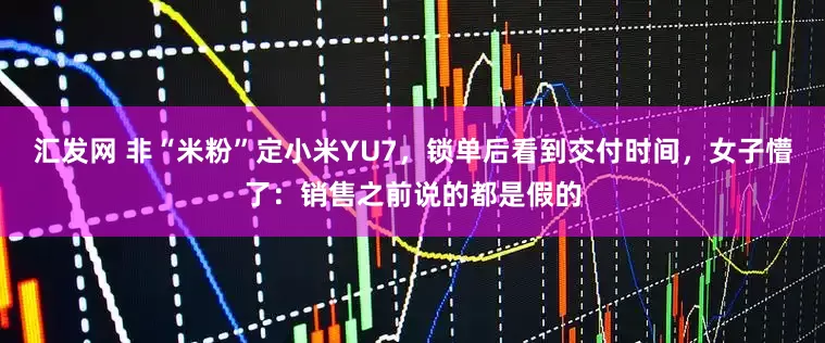 汇发网 非“米粉”定小米YU7，锁单后看到交付时间，女子懵了：销售之前说的都是假的