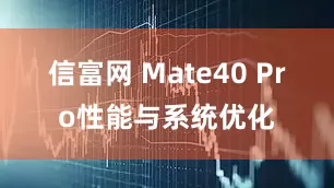 信富网 Mate40 Pro性能与系统优化