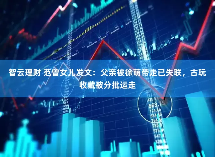 智云理财 范曾女儿发文：父亲被徐萌带走已失联，古玩收藏被分批运走