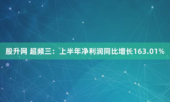 股升网 超频三：上半年净利润同比增长163.01%