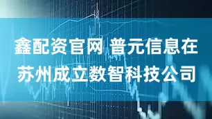 鑫配资官网 普元信息在苏州成立数智科技公司