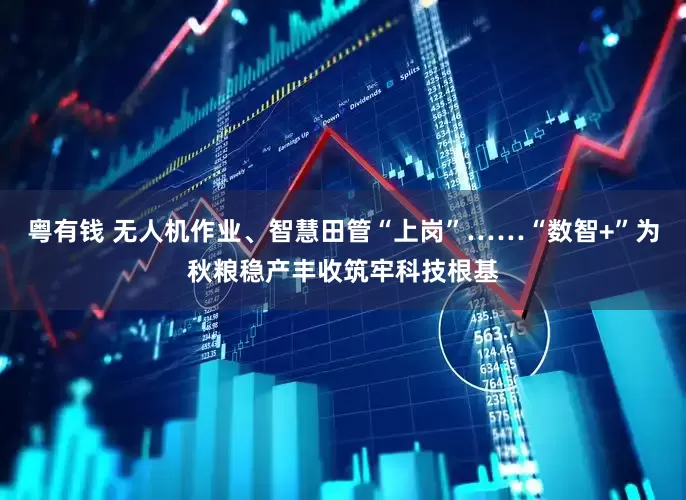 粤有钱 无人机作业、智慧田管“上岗”……“数智+”为秋粮稳产丰收筑牢科技根基