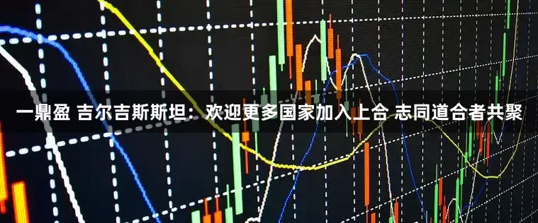 一鼎盈 吉尔吉斯斯坦：欢迎更多国家加入上合 志同道合者共聚